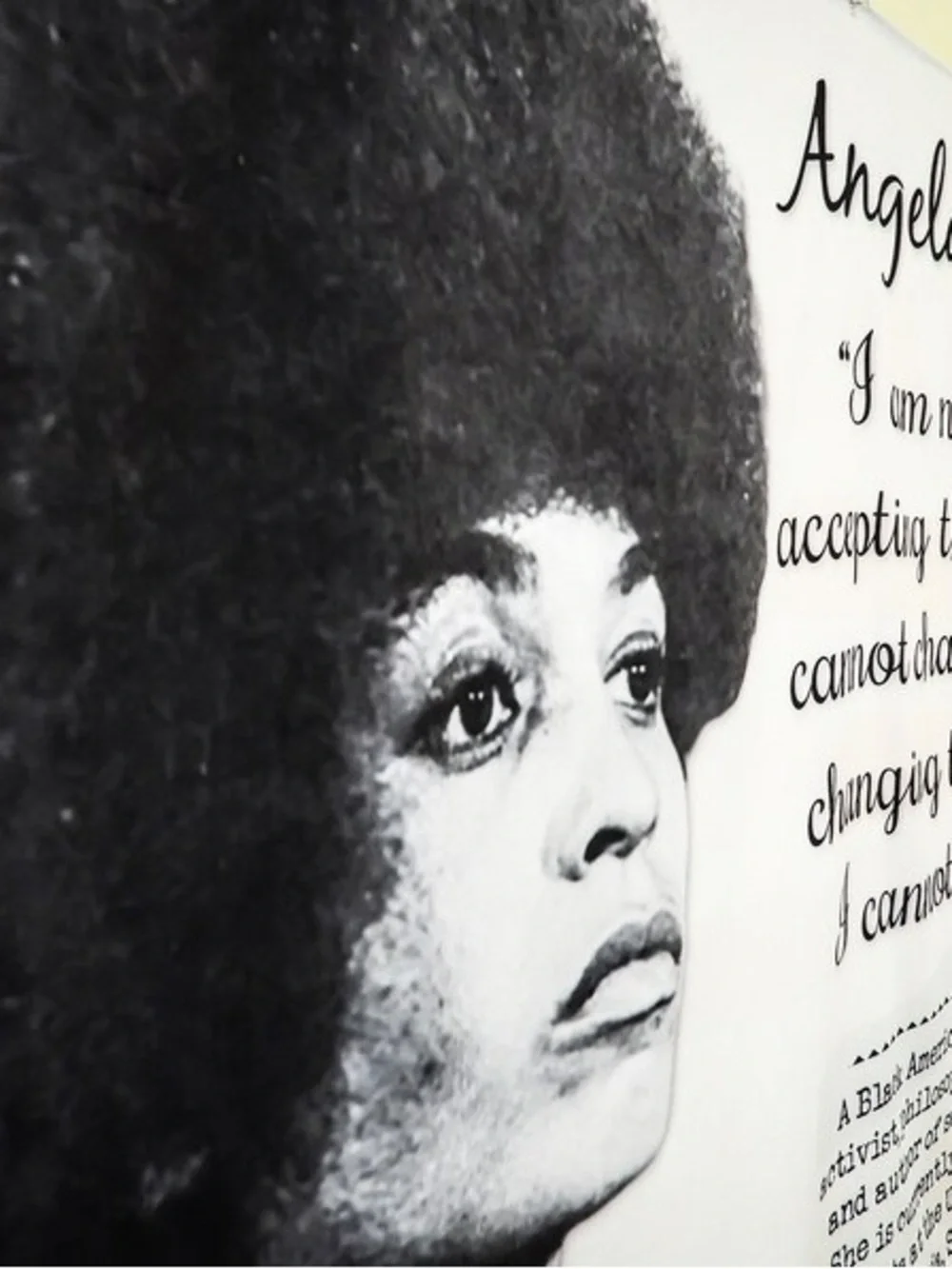 Angela Davis Quote Wall Art Poster - Black & White